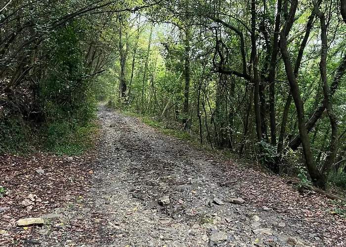 Lejlighed Tabata's House Lucca