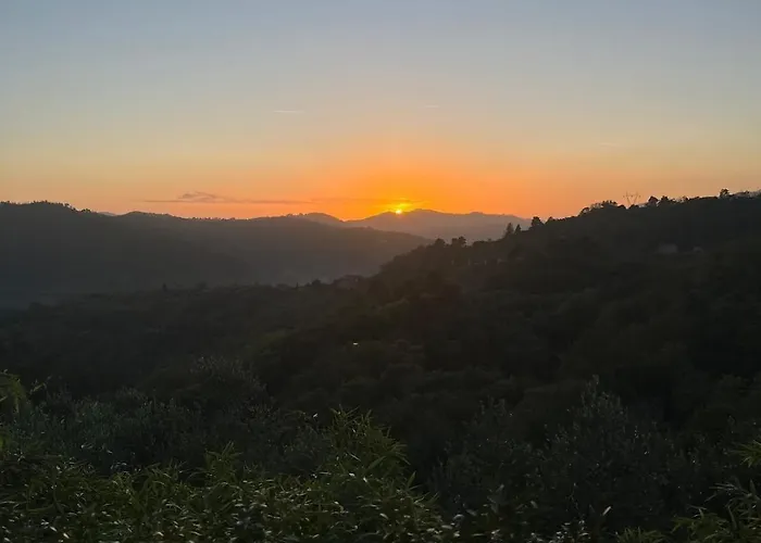 Tabata's House * Lukka