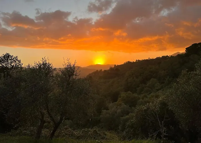 Tabata's House Apartament *