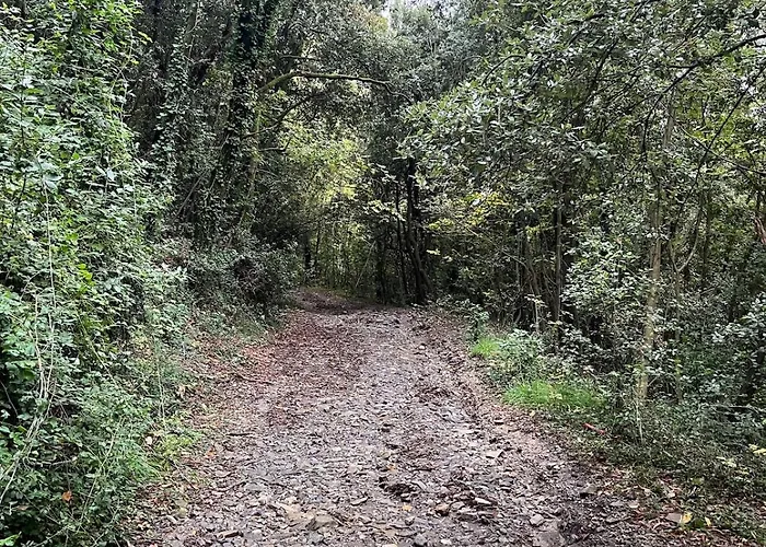 Apartament Tabata's House